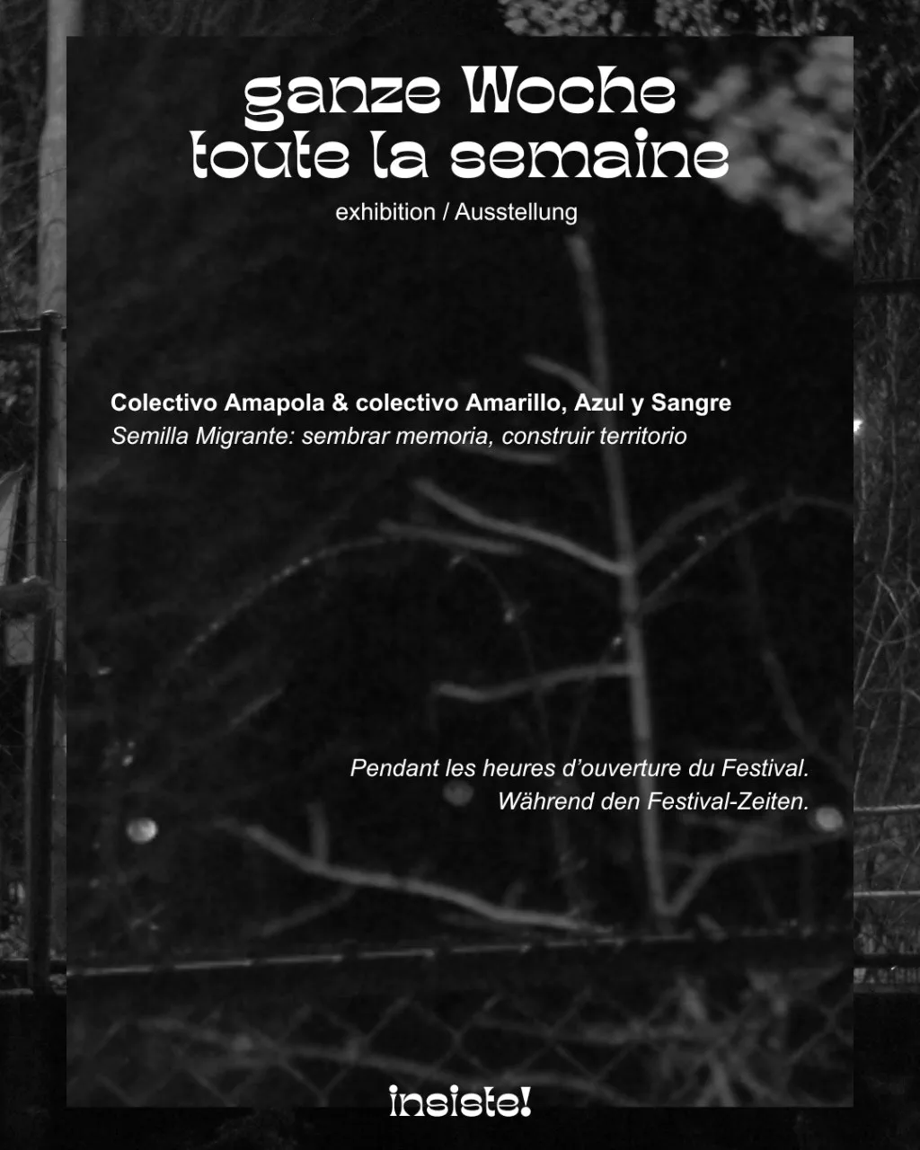 All week: exhibition “Semilla Migrante” by Colectivo Amapola & Colectivo Amarillo, Azul y Sangre